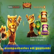 acompanhantes em guanambi